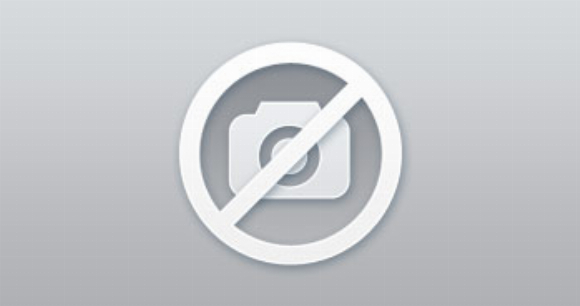 There is a Border in my Backyard